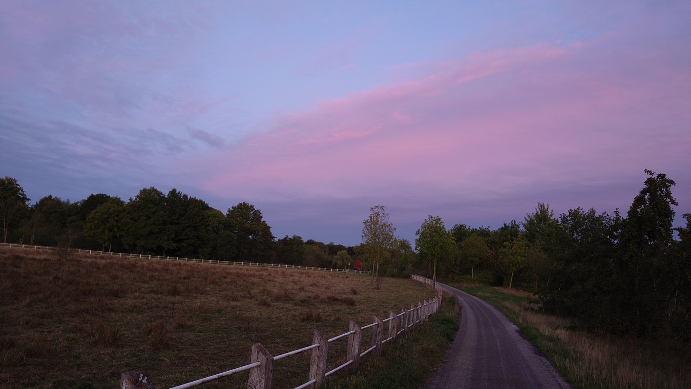 Een wandelpad door de groene woonomgeving